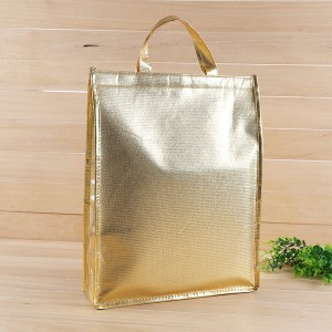 Laser Eco PP Non Woven Fresh Fruit Foodie Gourmets Cooler Bag