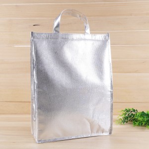 Supply OEM China Custom 2021 New Outdoor Student Office Cooler Lunch Bag