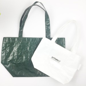 Super Lighted Waterproof Laminated PP Woven Foodie Bag