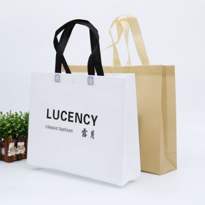 100% Original Factory China Small Size Laminated Color Printing Trolley Large PP Non Woven Handle Shopping Bag