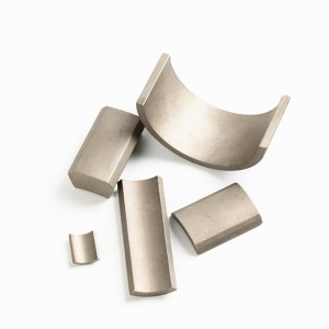 China Top Magnet Supplier Supply SmCo Magnets
