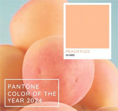 Topfeel Recommends PANTONE 2024 Color of the Year – Peach Fuzz