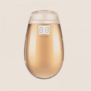 Wholesale Portable RF Anti-aging Thermage Device