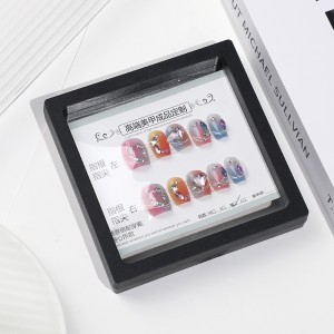 10 Pieces Plastic Box Packing False Nails