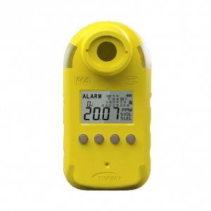 Detektor H2S CLH100