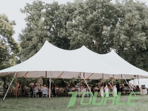 The Allure of Poly Wedding Tents