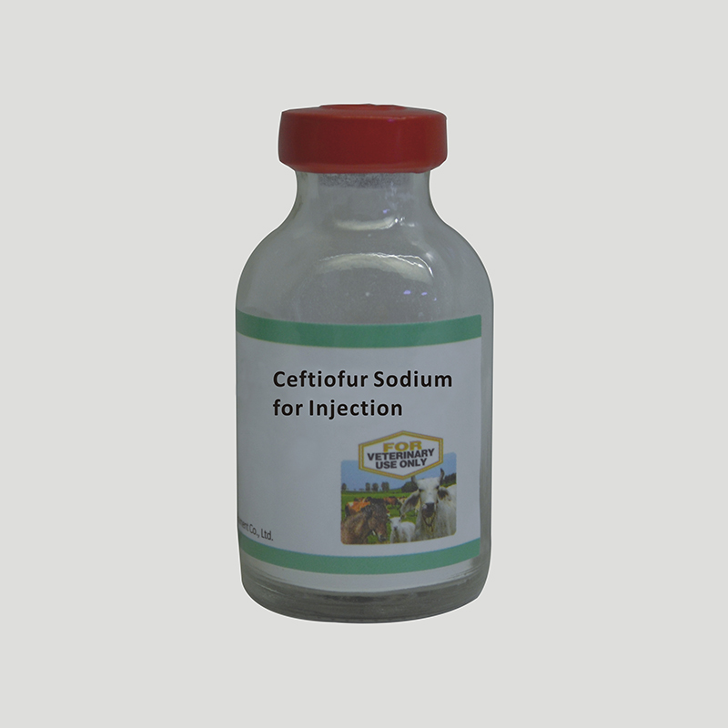 Wholesale Tiamulin Fumarate 100g/250g/500/1kg Antibiotic Premix For Livestock/Cattle/Animal - Ceftiofur Sodium for Injection – Jizhong