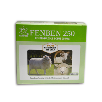 Popular Design for Anthelmintic Veterinary Tetramisole Tablet - Fenbendazole Tablet 250mg – Jizhong