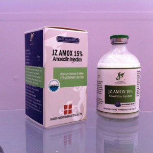 Hot New Products Marbofloxacin Injection 10% For Animal Treatment - Amoxicillin Injection – Jizhong
