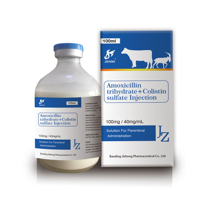 Factory source Veterinary Gentamycin And Analgin Injection 100ml/50ml - Amoxicillin trihydrate +Colistin sulfate Injection – Jizhong