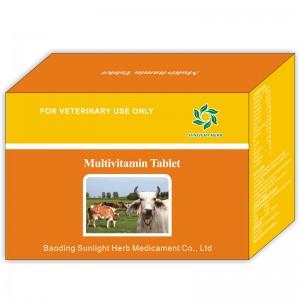New Arrival China Oxytetracycline Hcl Tablet For Veterinary Medicine - Multivitamin Tablet – Jizhong