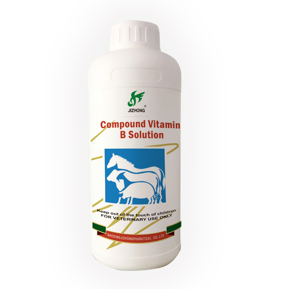 OEM/ODM Manufacturer Toltrazuril Oral Solution & Suspension For Animal Treatment - Compound Vitamin B Oral Solution – Jizhong