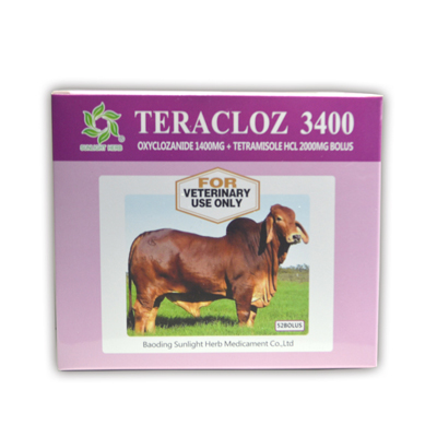 China Gold Supplier for High Quality Veterinary Tetramisole Tablet - Oxyclozanide 1400mg + Tetramisole Hcl 2000mg Bolus – Jizhong