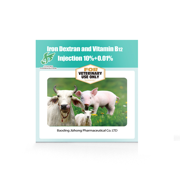 Trending Products Ivermectin And Clorsulon Injection For Livestock/Cattle - Iron Dextran and Vitamin B12 Injection 10%+0.01% – Jizhong