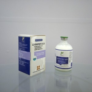 One of Hottest for Kanamycin Sulphate Injection - Procain Penicillin G and Dihydrostreptomycin Sulfate Injection – Jizhong