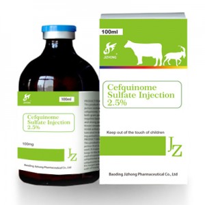Good quality Butaphosphan And B12 Diuretic 2.5% 5% For Livestock/Cattle/Animal - Cefquinome Sulfate Injection – Jizhong