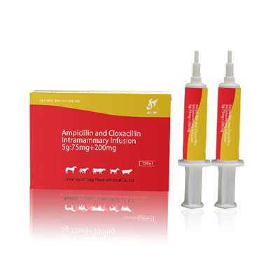 Manufactur standard Veterinary Compound Penicillin Intramammary Infusion 10ml - Ampicillin and Cloxacillin Intramammary Infusion – Jizhong