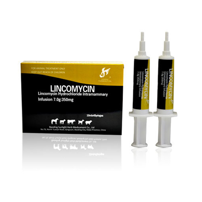 Factory Cheap Hot Cloxacillin Benzathine Suspension Sringe - Lincomycin HCL Intramammary Infusion( Lactating  Cow) – Jizhong