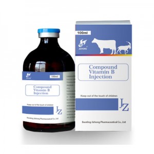 Cheap price Ceftiofur Hydrochloride Injection 5% For Animal Healthcare - Compound Vitamin B Injection – Jizhong
