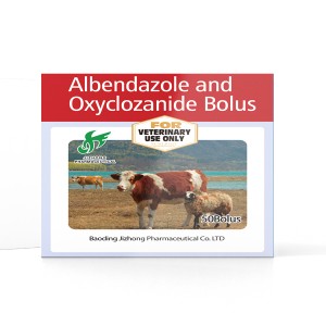 Discount wholesale Tricabendazole Tablet For Animal Treatment - Albendazole and Oxyclozanide Bolus 600mg+300mg – Jizhong