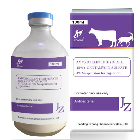 Factory wholesale Hot Sale Veterinary Florfenicol Injection - Amoxicillin and Gentamycin Injection – Jizhong