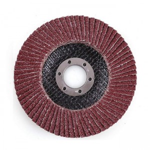Factory wholesale Curved Edge Flap Disc - Premium flap disc for removal and surface conditioning finishing polishing disc – Tranrich