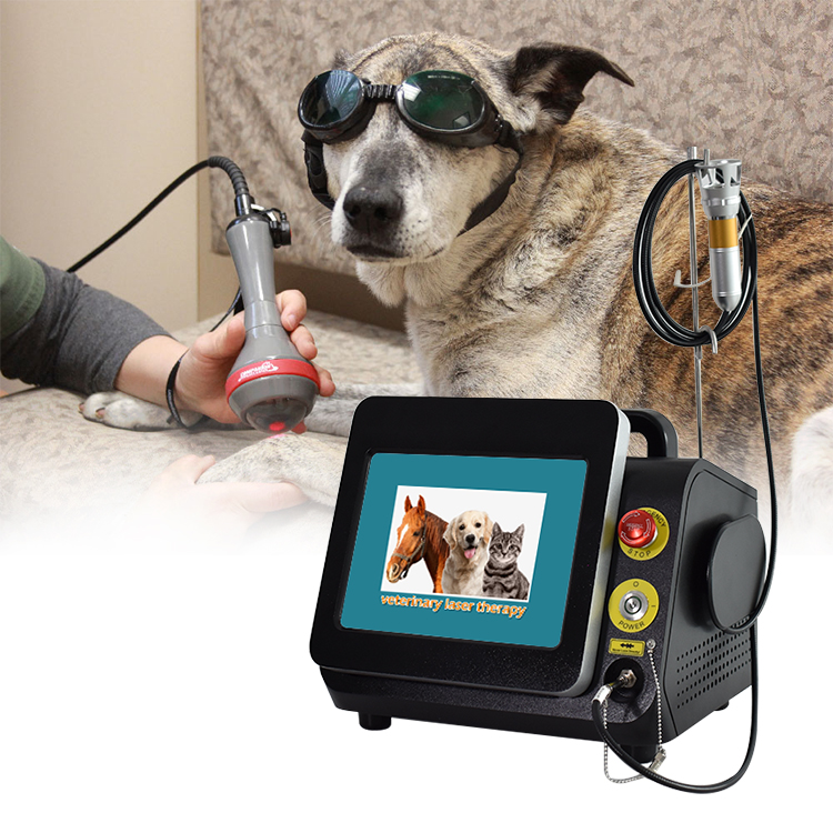 veterinary laser medicine