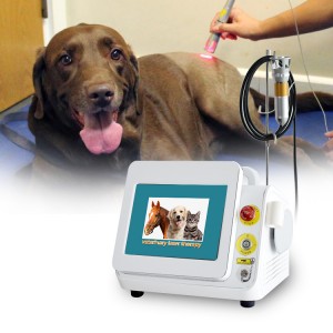 Matériel vétérinaire – Appareil laser vétérinaire classe 4