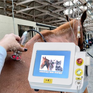 Attrezzatura veterinaria – Dispositivo laser veterinario di classe 4