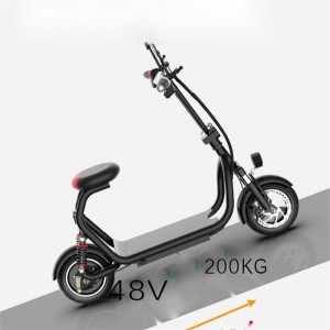 Smart Electric folded Bicycle
