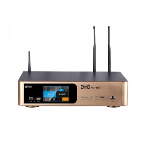 China Professional Digital Mixing Amplifier with wireless microphone