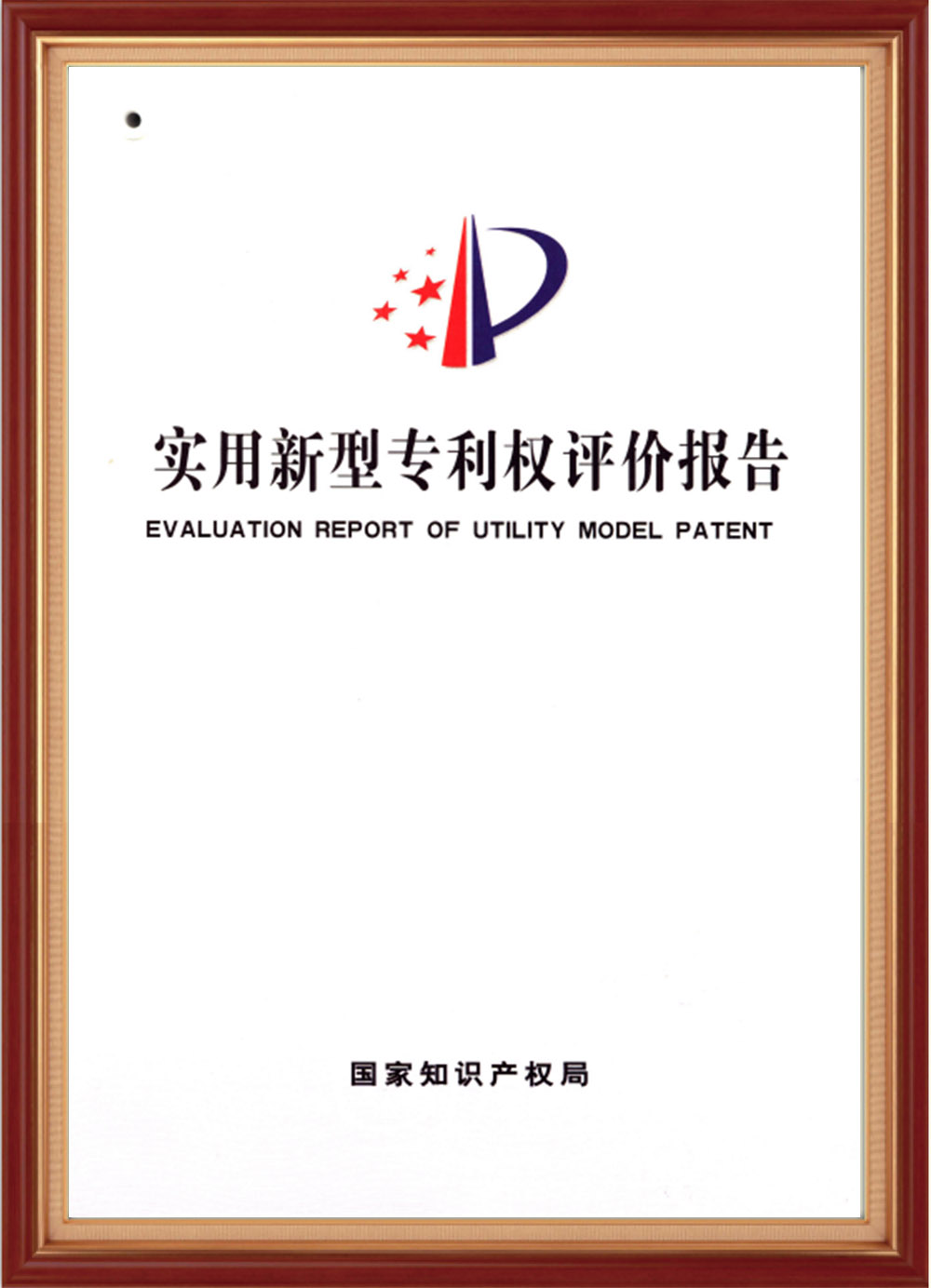 certificate-01 (9)