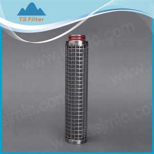 Stainless Steel Pleated & Powder Sintered Filter