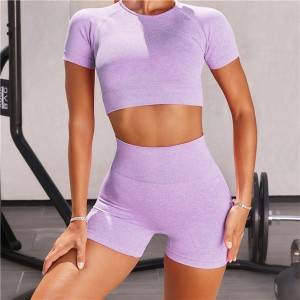 2020 Women Gym Suit Sport Bra Tops Yoga Leggings Set Private Label Yoga Pants Set Yoga Zc2865