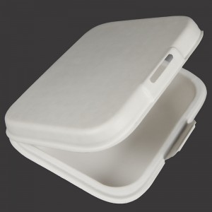 OEM/ODM China Colour Pulp Tray - Lunch Box – Dingtian