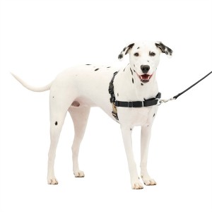Custom No Pull Easy Walk Nylon Dog Harness for Pet Safety
