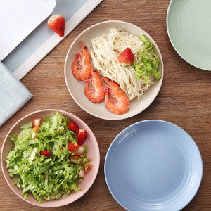 9inch Wheat Straw Lunch Plate