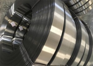 Reasonable price Mild Steel Plate - galvanize steel strips coil plate – Tuoou