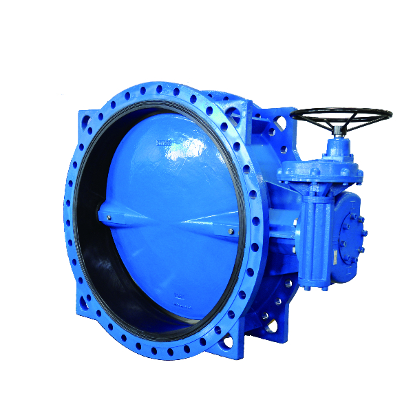 Worm Gear Operation DIN PN10 PN16 Standard Ductile Iron SS304 SS316 Double Flanged Concentric Butterfly Valve