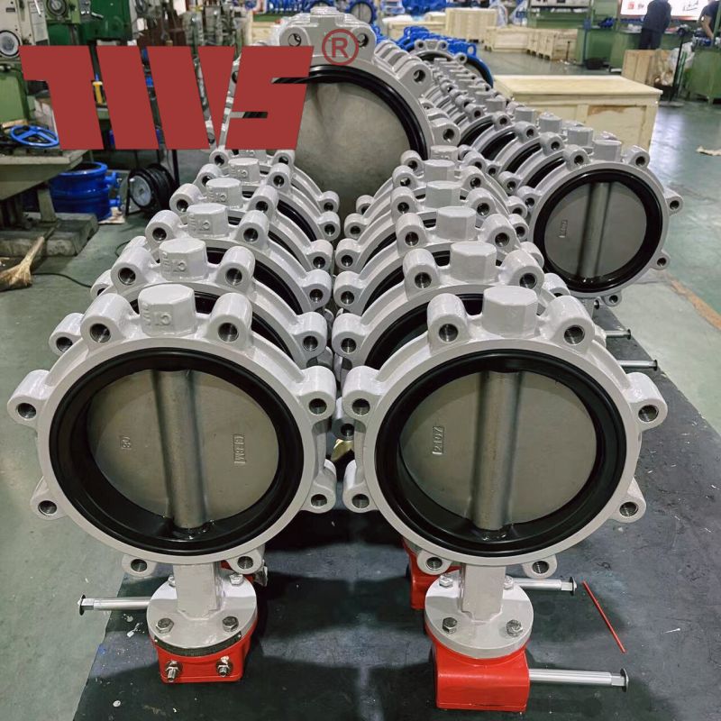 TWS Concentric Butterfly Valve