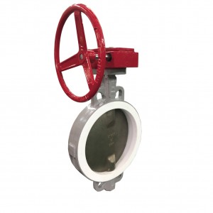 Factory Supply Lug Type Concentric Butterfly Valve - FD Series Wafer butterfly valve – TWS Valve