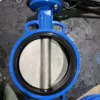 DN200 Ductile Iron Wafer Center-lined Butterfly Valve CF8 Disc EPDM Seat SS420 Stem Worm Gear Operation