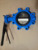 TWS Bare Shaft Lug Butterfly Valve with Tapper Pin