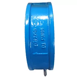 DN40~DN800 PN1.0/1.6MPa GGG40 Wafer Check Valve apply for watertreatment