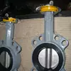 Cast Iron Manual Wafer Butterfly Valve for Russia Market Steelworks