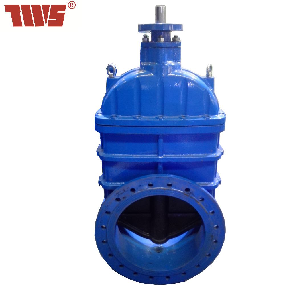 DN300 Resilient Seated Pipe Gate Valve for Water Works