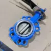 TWS Wafer Center-lined Butterfly Valve for DN80