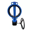 300 Microns Epoxy Coated 250mm Tianjin Wafer Butterfly valve with Multi drillings