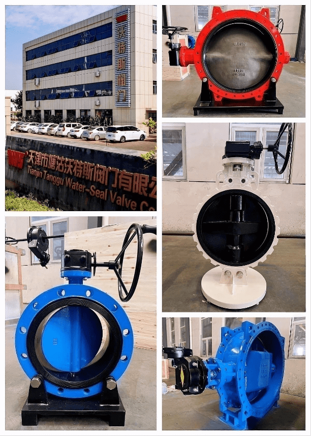 Rubber seated butterfly valve from TWS Valve