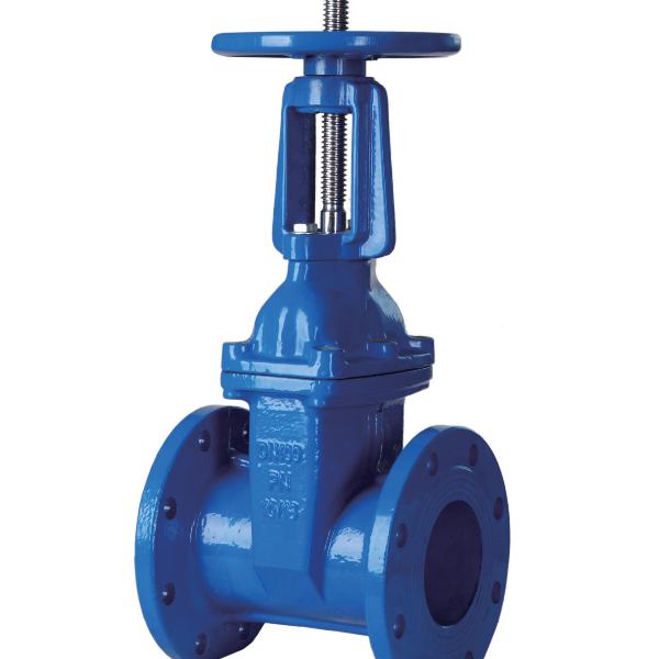 What is the difference between the globe valve and the gate valve?